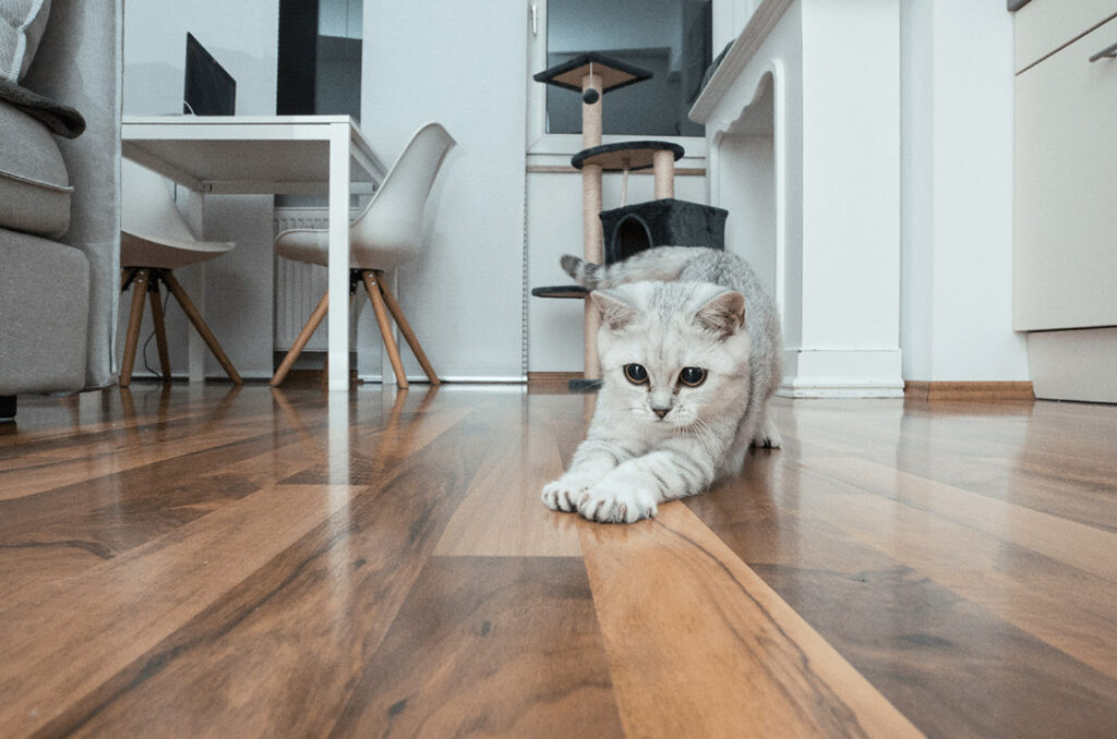 Hardwood flooring