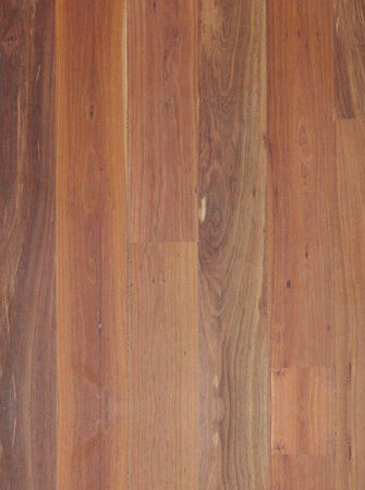 Forest Red Gum hardwood timber floor